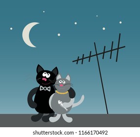 Loving couple of cats at night on the roof. Vector illustration.