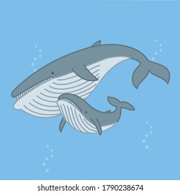 
Loving fin whale parent and child