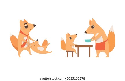 Loving Fox Mom and Dad Character Playing and Feeding Its Cub Vector Set