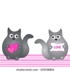 Loving grey cats