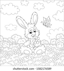 Loving little bunny and a funny butterfly dreaming and telling fortunes with a daisy on grass of a summer field on a beautiful sunny day, black and white vector cartoon illustration
