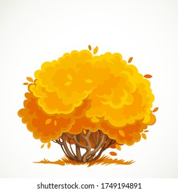 Low bush with a lush crown of yellow autumn leaves vector drawing isolated on white background