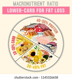 Low carbohydrate diet diagram. Macronutrient ratio poster. Fat loss concept. Colourful vector illustration isolated on a light beige background. Healthy eating concept.