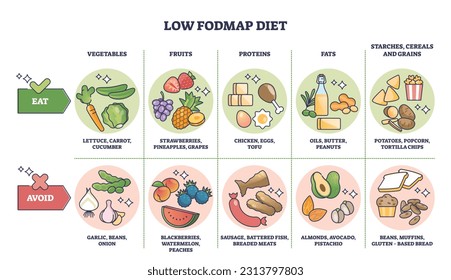 Bajo FODMAP dieta y alimento con hidratos de carbono sanos diagrama de esquema de lista. Esquema educativo etiquetado con comestibles para la fácil ilustración de los vectores de procesamiento digestivo. Evitar e incluir estos elementos.