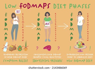 Low FODMAPS diet phases. Fodmaps are hard to digest carbohydrates and sugars. Healthy nutrition infographics. Irritable Bowel Syndrome. Digestive problems causes. Landscape poster. Vector illustration