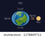 Low and high lunar tides diagram. Effect of Moon gravitational force on seacoast water level. Astronomy, geography science for kids. Cartoon style vector illustration. 