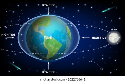 Low and high tides caused by the Moon, vector education diagram. Space exploration, geography, physics and astronomy science infographic template.