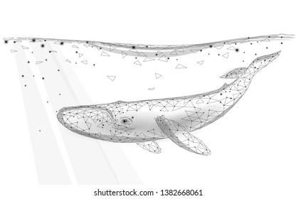 Low poly 3D whale swimming undersea. Water ocean surface white wave. Large humpback whale marine wild life migration. Triangle polygonal vector illustration