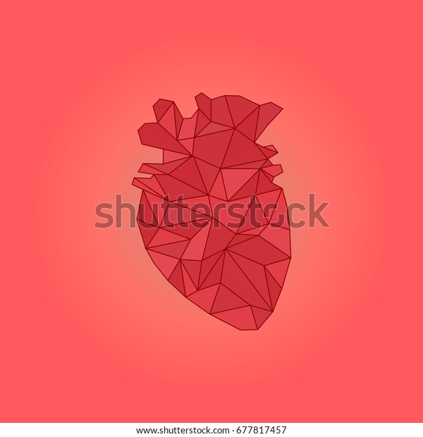 Low Poly Anatomical Human Heart Vector Stock Vector Royalty Free 677817457 Shutterstock 3648