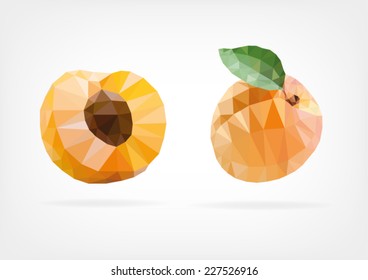 Low Poly Apricot