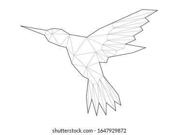 Continuous Line Drawing Beautiful Colibri Birg Stock Vector (Royalty ...