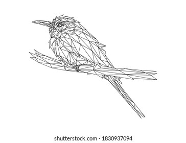 Low poly art of a bee-eater in black color wireframe. Vector animal triangle geometric ilustration. Abstract polygonal art. With white color background.
