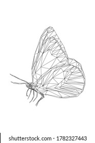 Low poly art of a butterfly in black color wireframe. Vector insect triangle geometric illustration. Abstract polygonal art. With white color background.