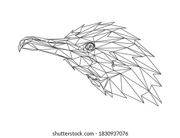 Low poly art of a cormorant head in black color wireframe. Vector animal triangle geometric ilustration. Abstract polygonal art. With white color background.