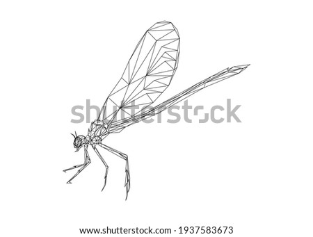 Low poly art of a dragonfly in black color wireframe. Vector animal triangle geometric illustration. Abstract polygonal art. With white color background.