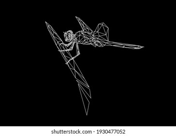 Low poly art of a dragonfly in white color wireframe. Vector animal triangle geometric illustration. Abstract polygonal art. With black color background.