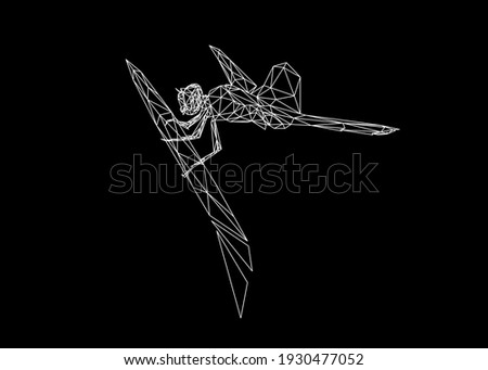 Low poly art of a dragonfly in white color wireframe. Vector animal triangle geometric illustration. Abstract polygonal art. With black color background.