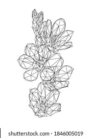 Low poly art of flowers in black color wireframe. Vector flower triangle geometric illustration. Abstract polygonal art. With white color background.