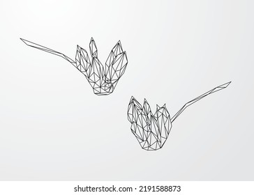 Low poly art of flowers in black color wireframe. Vector flower triangle geometric illustration. Abstract polygonal art. With white color background.
