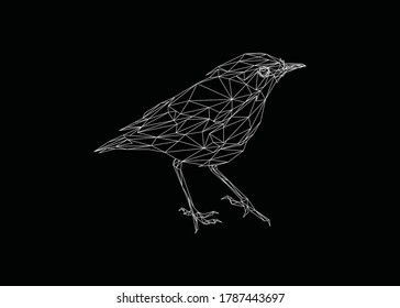 Low poly art of flycatcher in white color wireframe. Vector bird triangle geometric ilustration. Abstract polygonal art. With black color background.