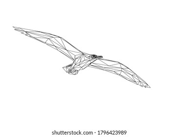 Low poly art of a flying seagull in black color wireframe. Vector animal triangle geometric ilustration. Abstract polygonal art. With white color background.