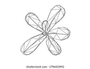 Low poly art of leaves in black color wireframe. Vector plant triangle geometric ilustration. Abstract polygonal art. With white color background.