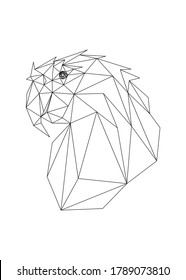 Low poly art of macaw in black color wireframe. Vector bird triangle geometric ilustration. Abstract polygonal art. With white color background.