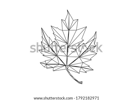 Low poly art of maple leaf in black color wireframe. Vector body parts triangle geometric ilustration. Abstract polygonal art. With white color background.