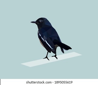 Low poly art of Oriental Magpie Robin bird                     