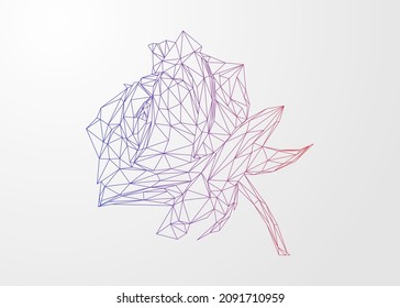 Low poly art of a rose in blue-red color wireframe. Vector flower triangle geometric illustration. Abstract polygonal art. With white color background.