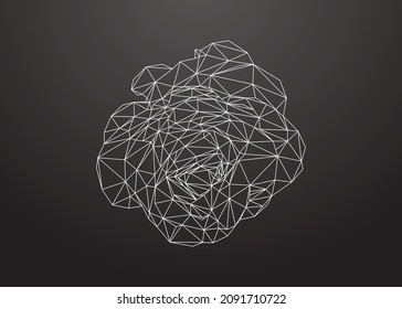 Low poly art of a rose in white color wireframe. Vector flower triangle geometric illustration. Abstract polygonal art. With dark grey color background.