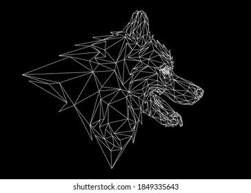 Low poly art of a siberian husky in white color wireframe. Vector animal triangle geometric illustration. Abstract polygonal art. With black color background.