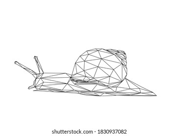 Low poly art of a snail in black color wireframe. Vector animal triangle geometric ilustration. Abstract polygonal art. With white color background.
