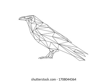 Low poly art vector of a crow in white color wireframe. Animal triangle geometric illustration. Abstract polygonal art. With black background.
