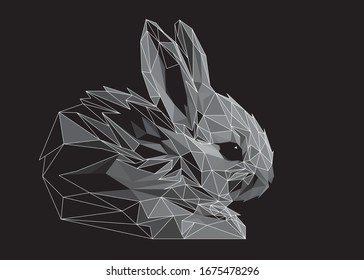 Low-Poly-Vektorillustration eines Graukaninchens mit halbem Wireframe. Geometrische Abbildung des Tierdreiecks. Abstrakte polygonale Kunst. Mit schwarzem Hintergrund. Ideal für Illustrationen, Plakate oder T-Shirts.