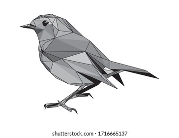 Low poly art vector of a greyscale Robin bird with half black color wireframe. Animal triangle geometric illustration. Abstract polygonal art. With white background.