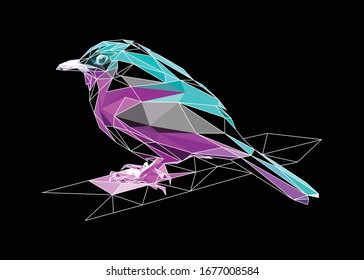 Low poly art vector of a purple-cyan color bird with half wireframe. Animal triangle geometric illustration. Abstract polygonal art. With black background. Ideal for illustration, posters or t-shirts.
