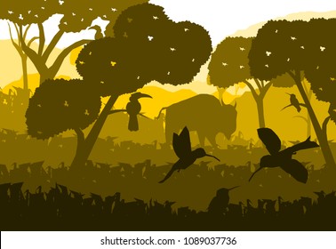 low poly asian nature vector,cow on the grass field with hornbill and bird,silhouette style,panorama view.