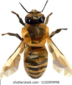 Low poly bee, Bee from triangles, vector graphics honeybee