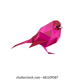 low poly  bird.