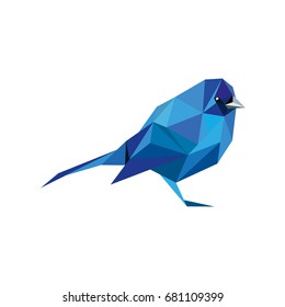 low poly  bird.