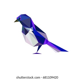 low poly  bird.