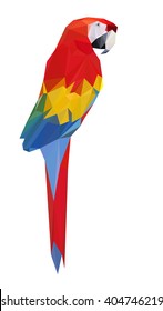 low poly bird. Vector Low Poly, Polygonal. colorful low polygon parrot vector illustration
