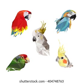 low poly bird. Vector Low Poly, Polygonal. colorful low polygon parrot vector illustration, set parrot