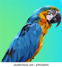 Low poly bird. Vector Low Poly, Polygonal. Colorful low polygon parrot vector illustration
