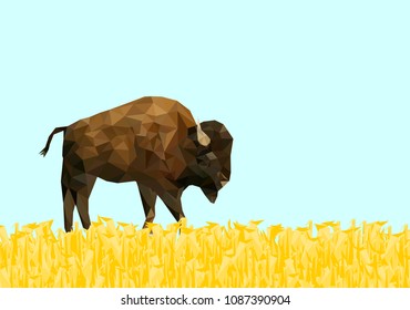 Low poly bison on dry grass field with blue back ground,animal geometric,vector.	
