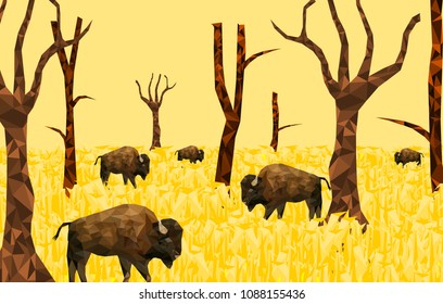 Low poly bison on dry grass field with sunset back ground,animal geometric,vector.