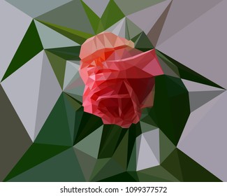 Low poly blooming pink rose flower. Vector 10 eps