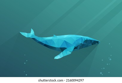 Low poly blue whale. Polygonal whale design.  Geometric vector illustration