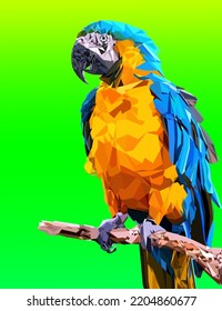 low poly blue and yellow color of parrott